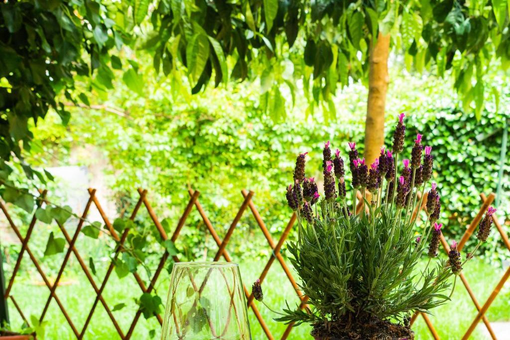 Апартаменты Marylou Gardenhouse Пиза Экстерьер фото